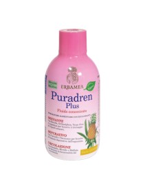 PURADREN Plus Ananas 500ml