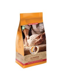 RICCIONE Farina Piadina 1KG